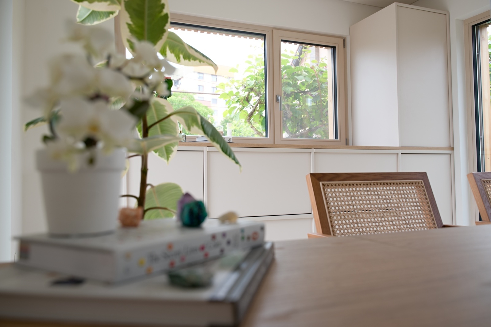 Studio Nova Dvojina — Maribor